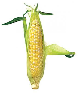 The Corn